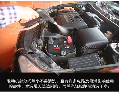 移動(dòng)蒸汽洗車 移動(dòng)蒸汽洗車