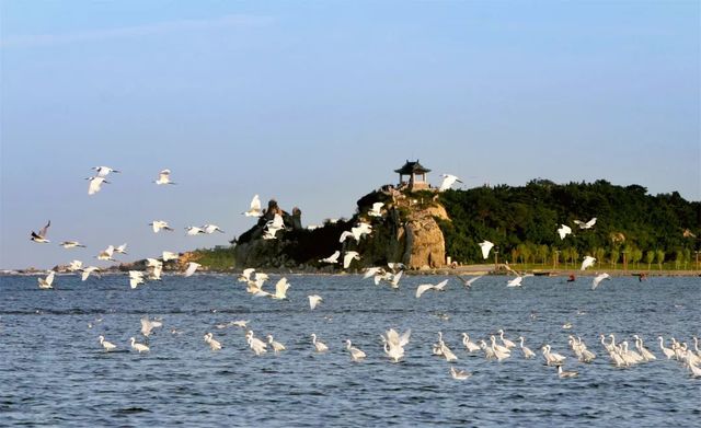 乾港慰問一線干警 乾港慰問一線干警