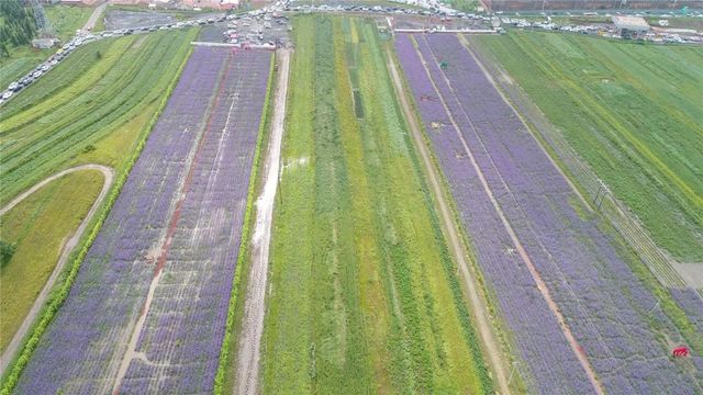 環(huán)美亞西行漫記自駕游 環(huán)美亞西行漫記自駕游